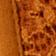 Rust