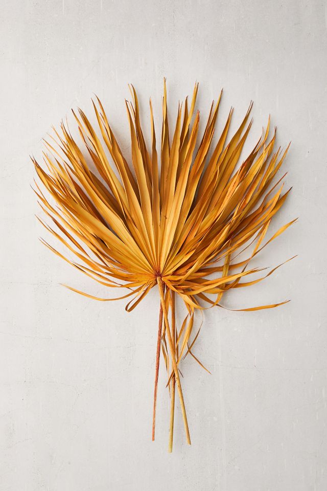 Dried Palmetto Bunch #1