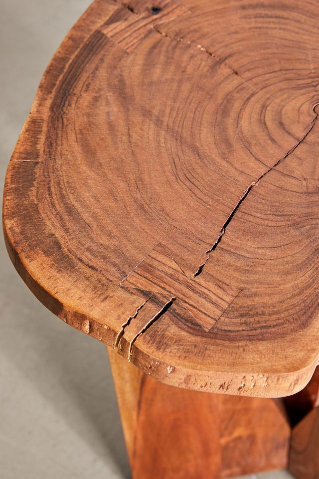 Akina Live Edge Side Table #5