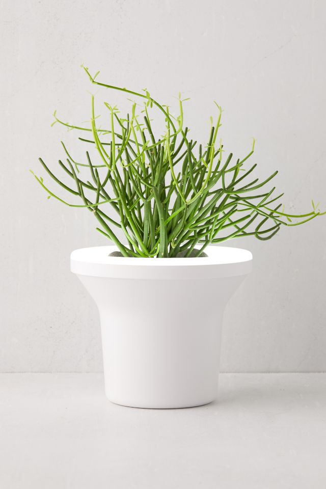 Umbra Ora Grow Light Planter #1