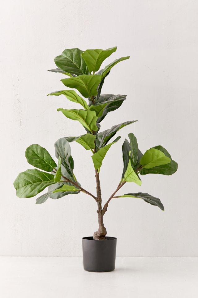 Potted Fiddle Leaf Faux Tree | Urban Outfitters