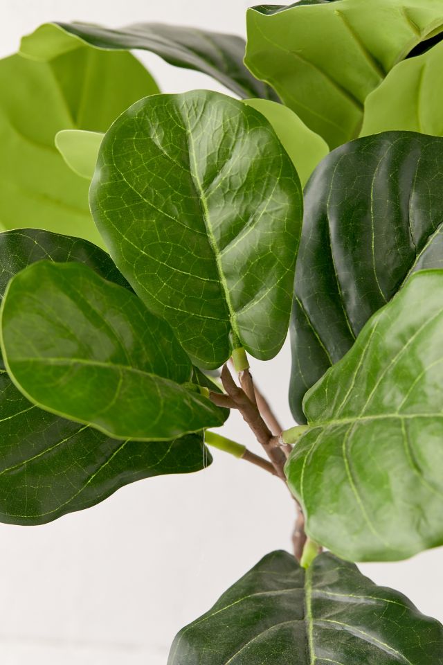 Potted Fiddle Leaf Faux Tree | Urban Outfitters