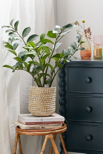 Potted 4’ Faux Rubber Plant | Urban Outfitters