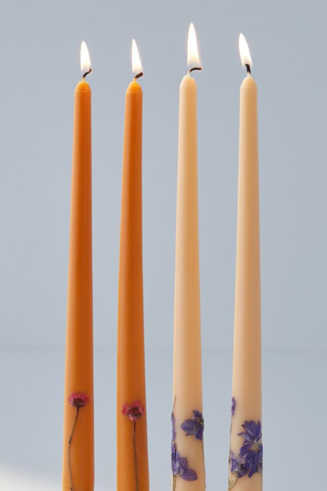 Home Fragrance | Aroma Diffusers, Candles + Holders