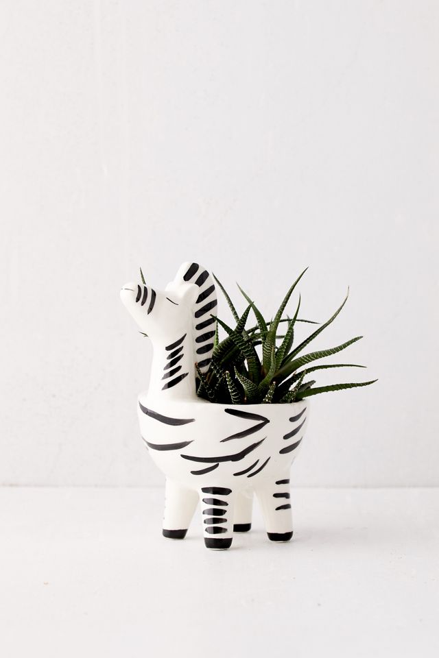 Zebra Shaped Planter #1