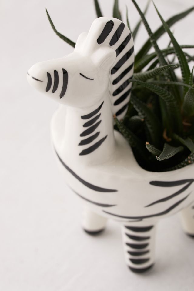 Zebra Shaped Planter #3