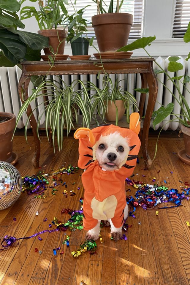 Tigger Dog Halloween Costume