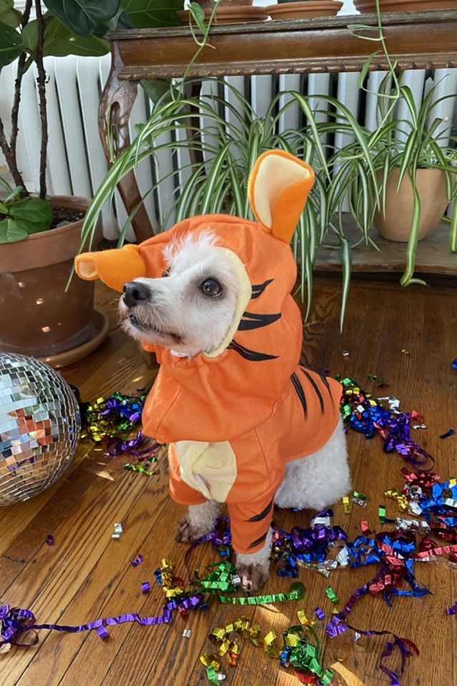 Tigger Dog Halloween Costume #1