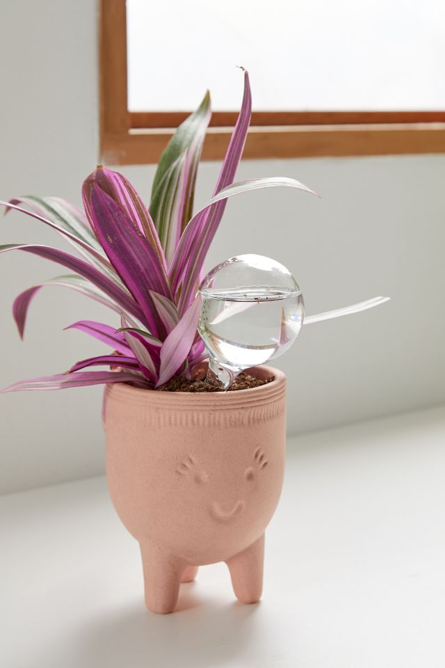 Muurla Watering Bulb Set #2