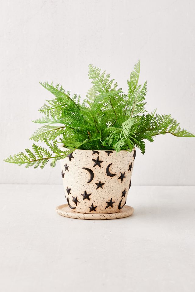 Estrella Planter And Tray #1