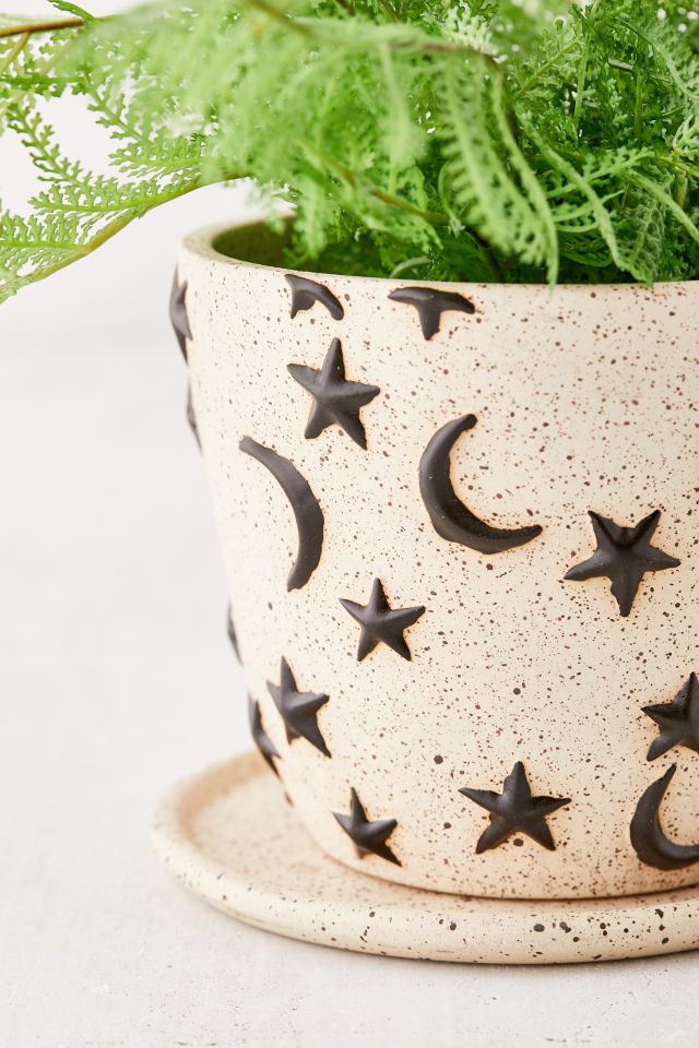 Estrella Planter And Tray #3