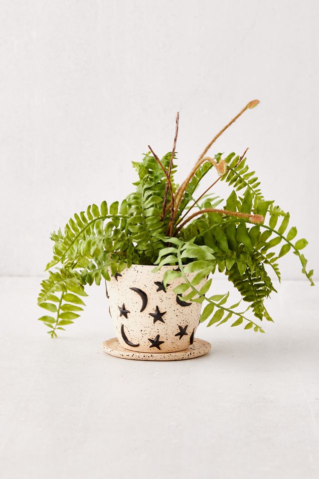 Estrella Planter And Tray #4