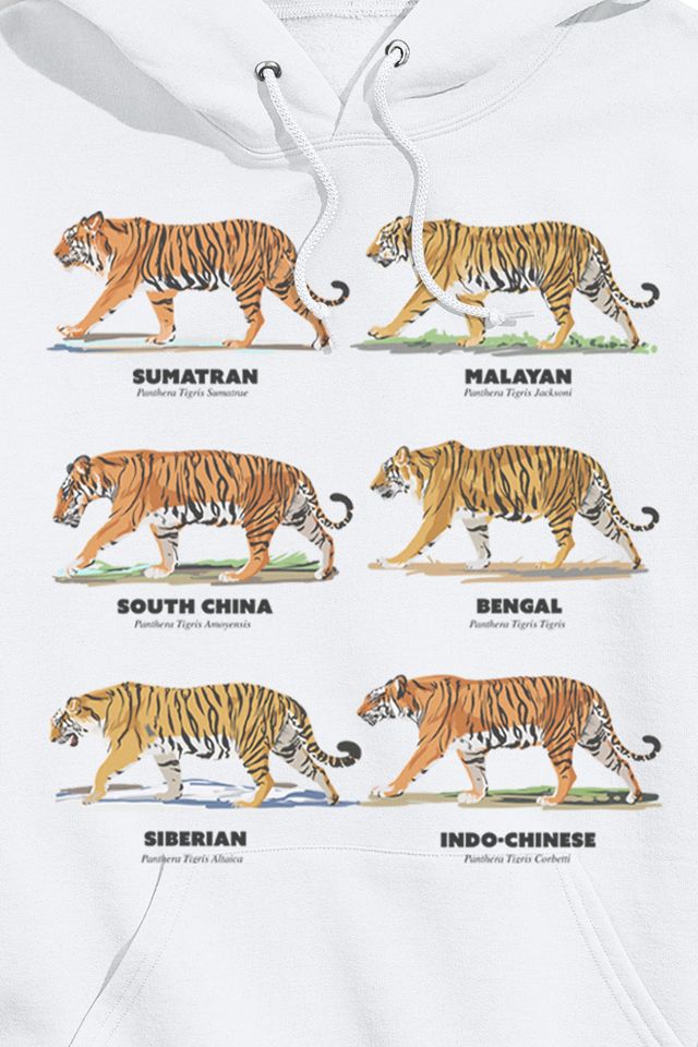 Tiger Types Hoodie Sweatshirt #1