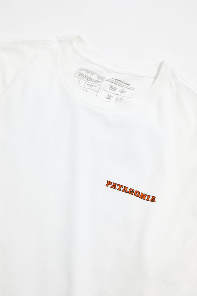Patagonia Summit Road Tee #2