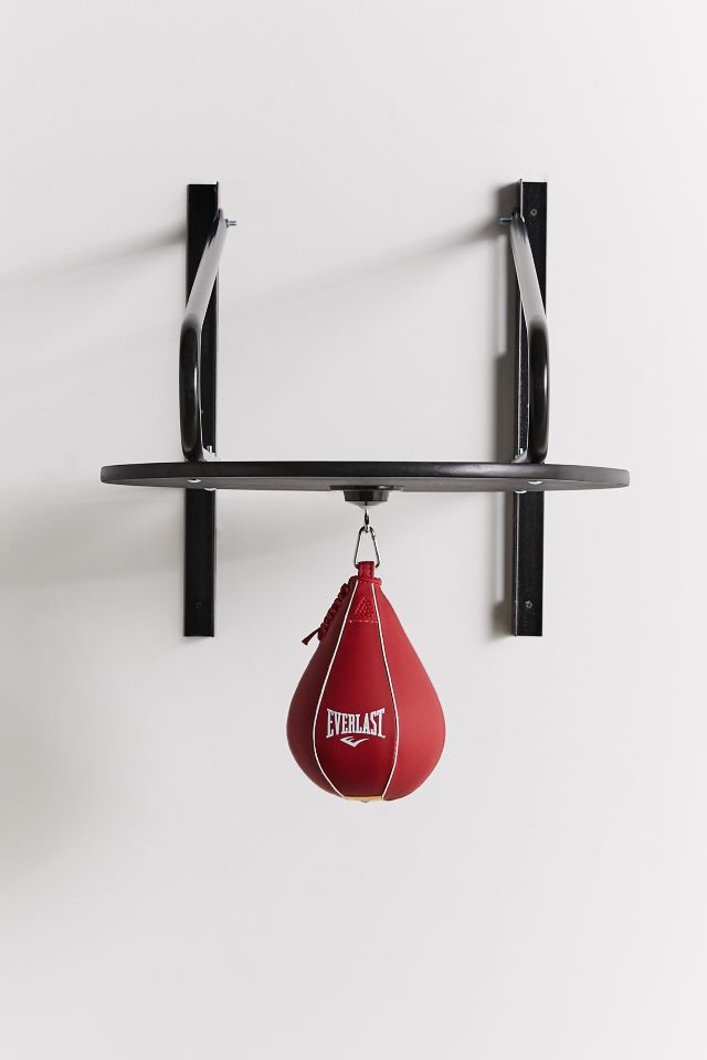 Everlast Speed Bag Kit #1