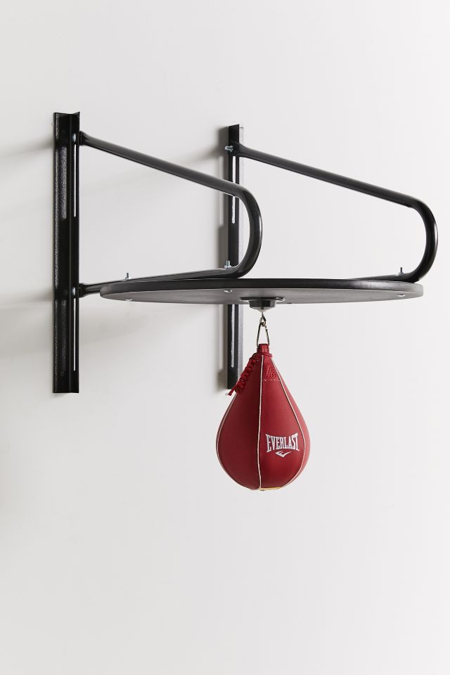 Everlast Speed Bag Kit #2