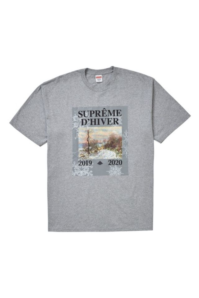 Supreme Fall/Winter 2020 Collection Fall Tees Info