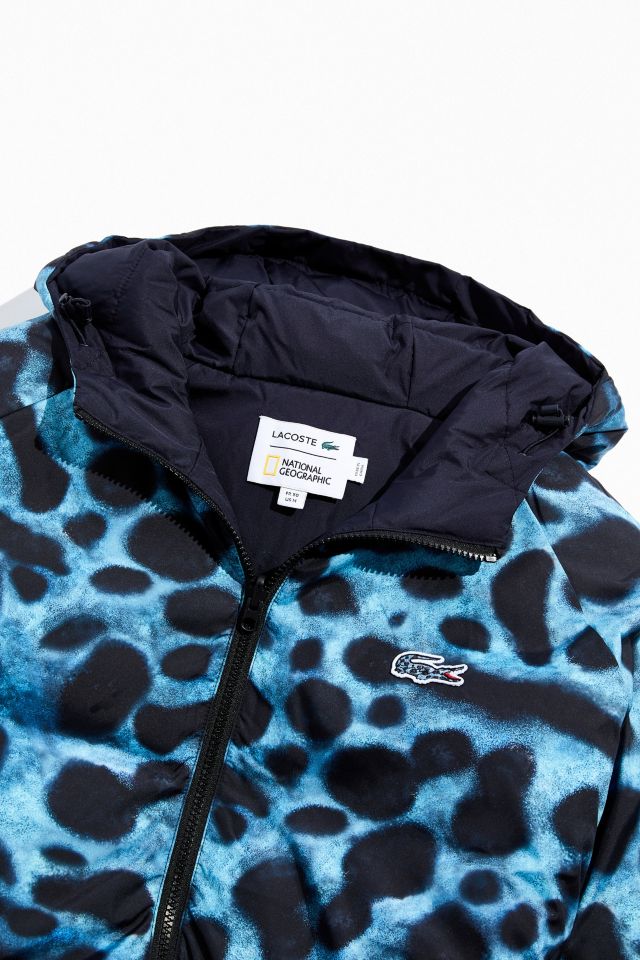 Lacoste x National Geographic Men's Animal Print Backpack blue