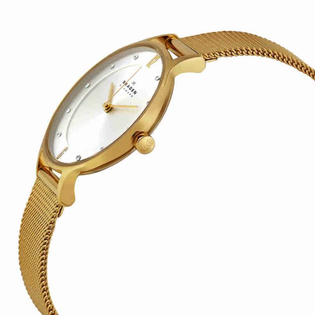 Skagen Anite Silver Dial Gold-tone Mesh Ladies Watch SKW2150 #1