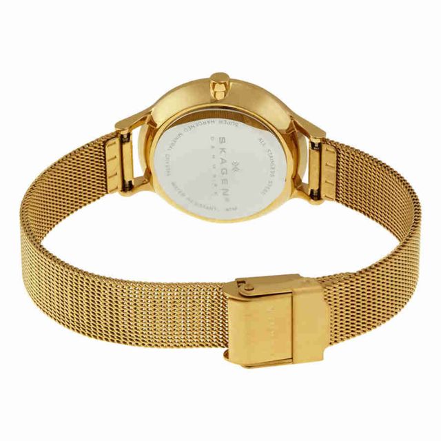 Skagen Anite Silver Dial Gold-tone Mesh Ladies Watch SKW2150 #2