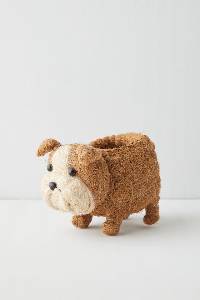 LIKHÂ Coco Coir Pup Planter #2