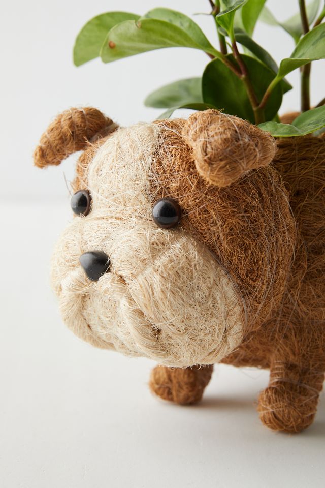 LIKHÂ Coco Coir Pup Planter #3