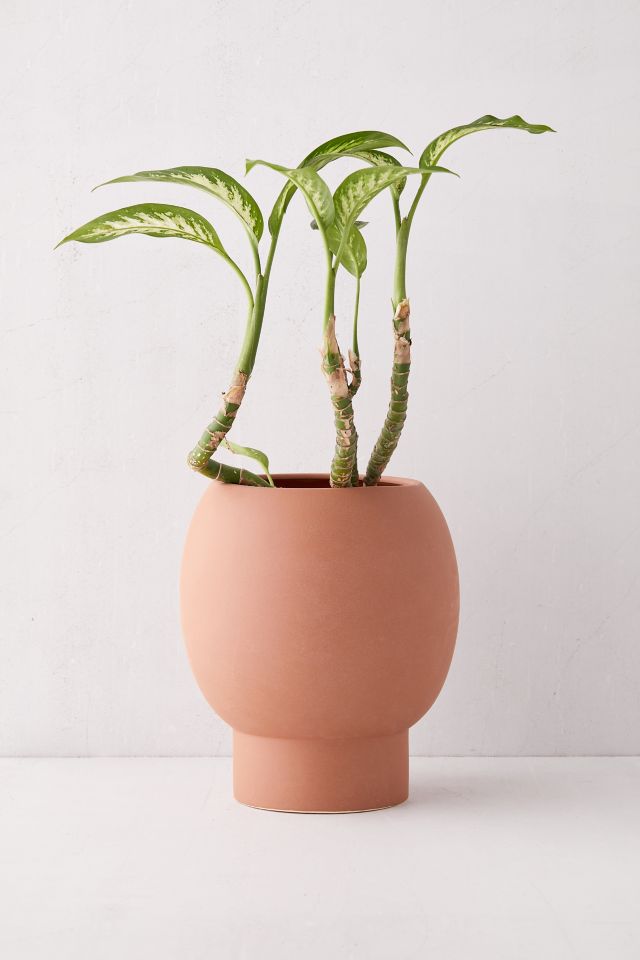Jake Indoor/Outdoor Planter #1