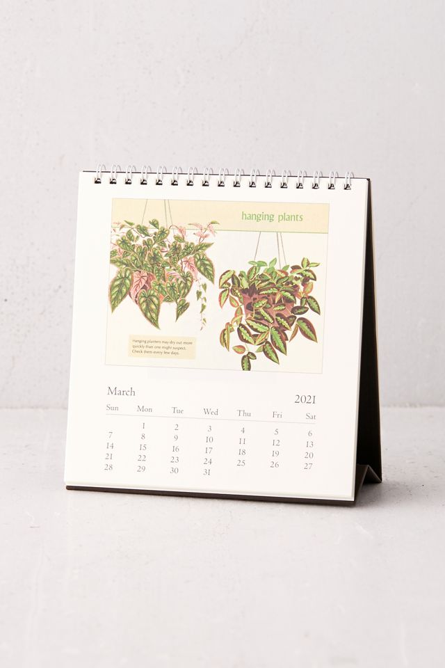Cavallini Papers 2021 12-Month Desk Calendar | Urban Outfitters Canada