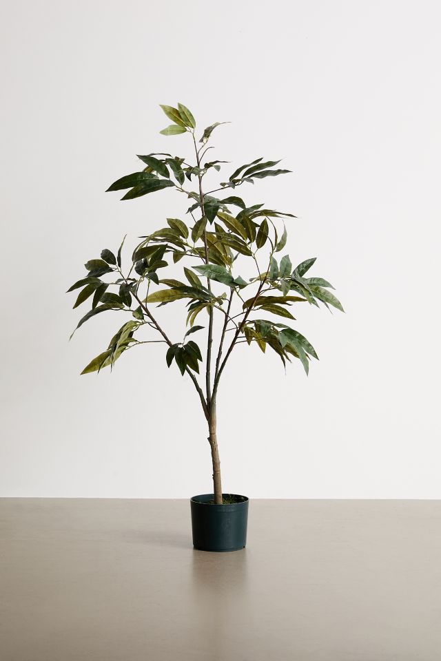 Potted Faux Mango Tree #1