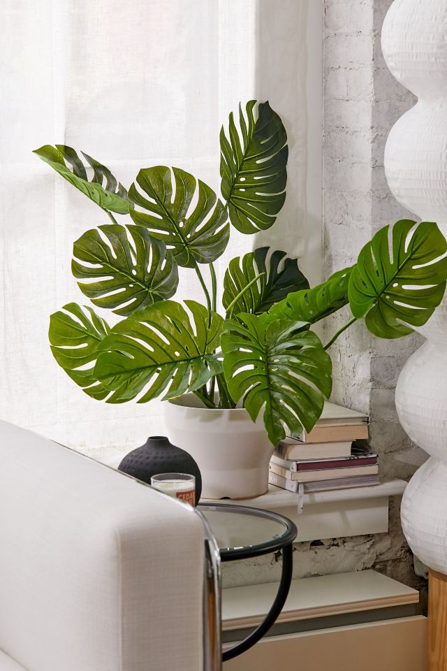 Faux Potted Monstera Deliciosa 40