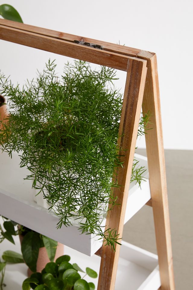 Lexi 2-Tier Indoor/Outdoor Plant Stand #2