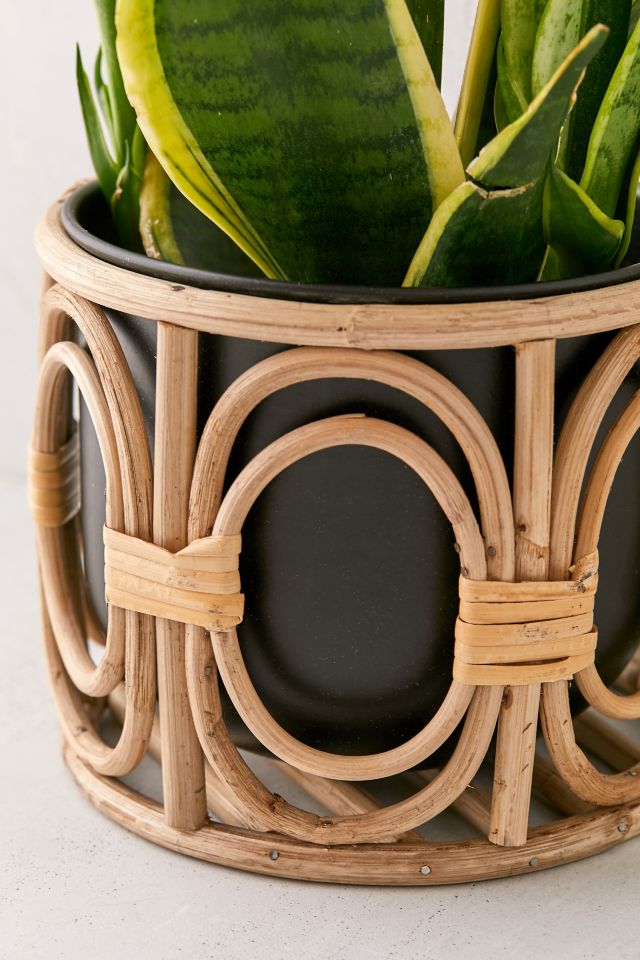 Bocca 8" Planter And Basket #3