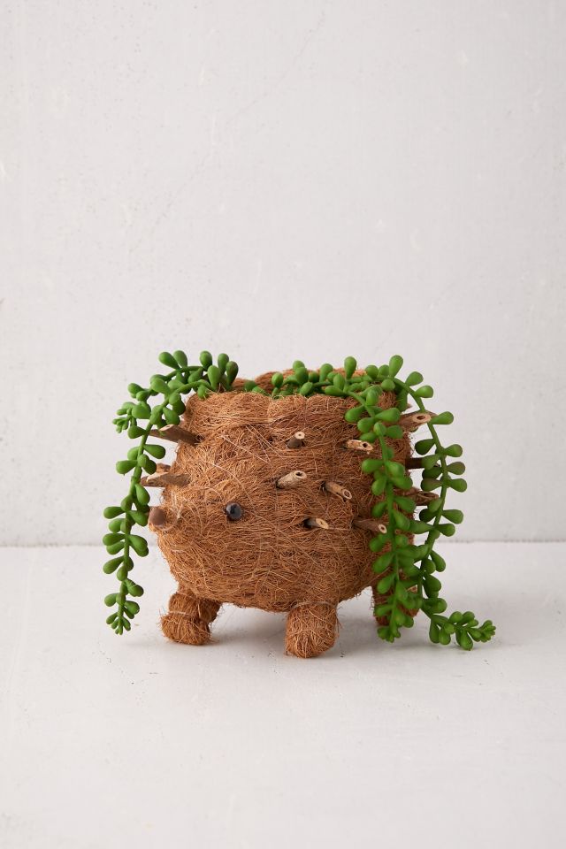 LIKHÂ Coco Coir Hedgehog Planter #2