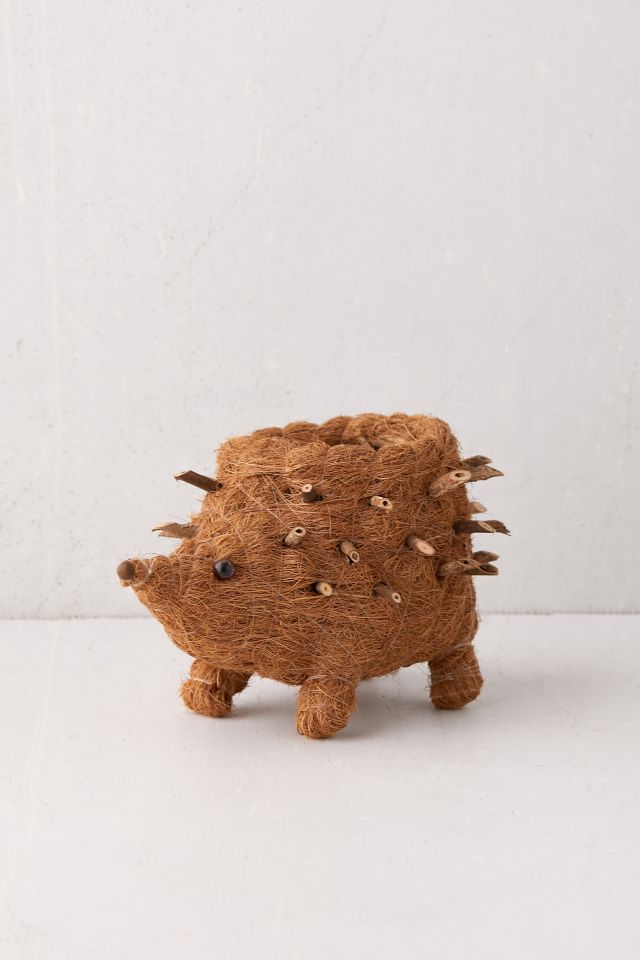 LIKHÂ Coco Coir Hedgehog Planter #3