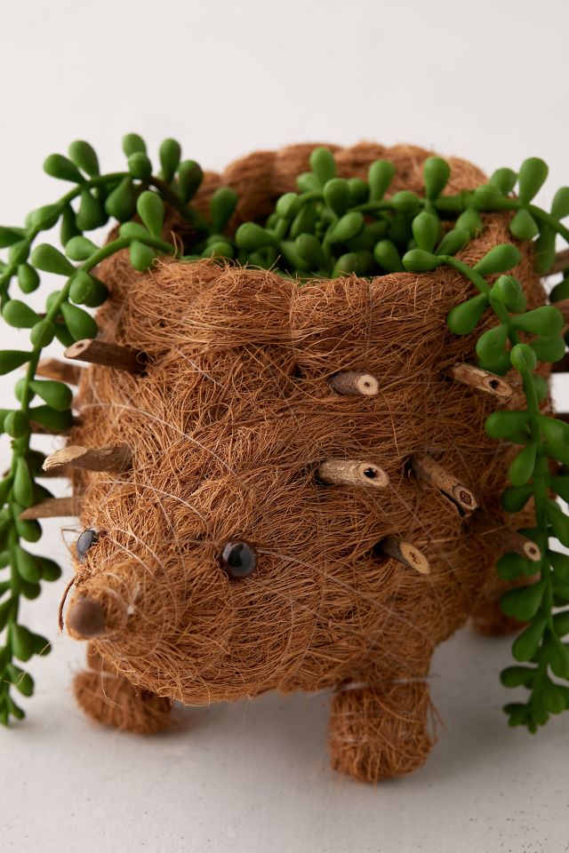 LIKHÂ Coco Coir Hedgehog Planter #4