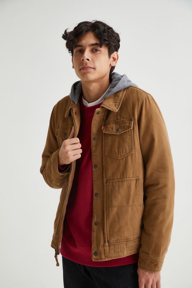 Levi sheepskin 2024 lined jacket