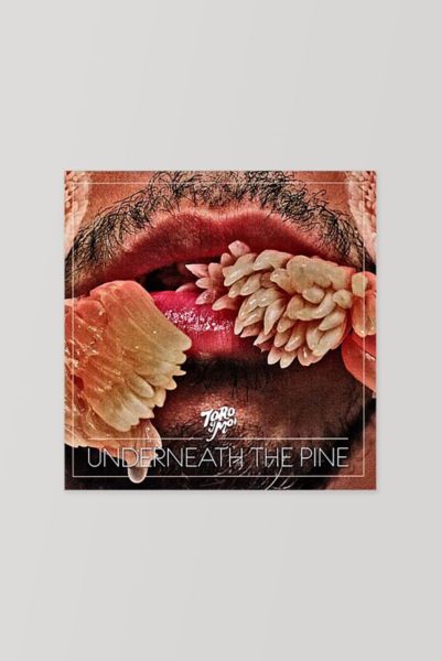 Toro Y Moi - Underneath the Pine LP