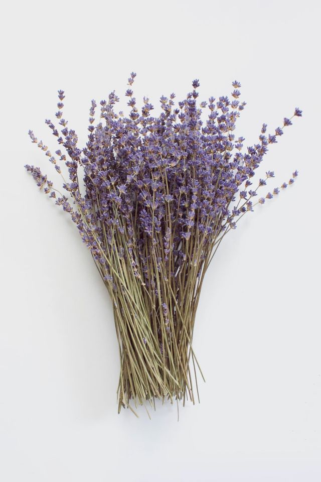 Dried Lavender Bouquets - English