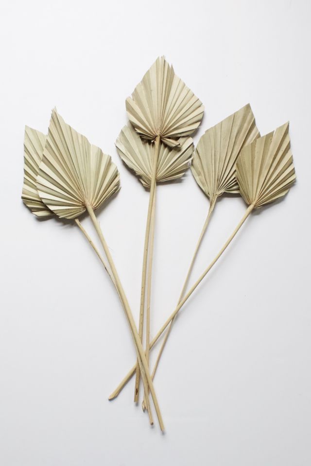 Roxanne's Dried Flowers Palm Spears #1