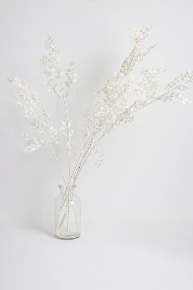 Roxanne's Dried Flowers Ruscus #2
