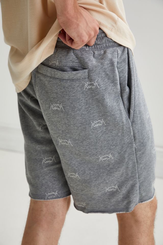 Puma Blue Chip Fleece Short #3