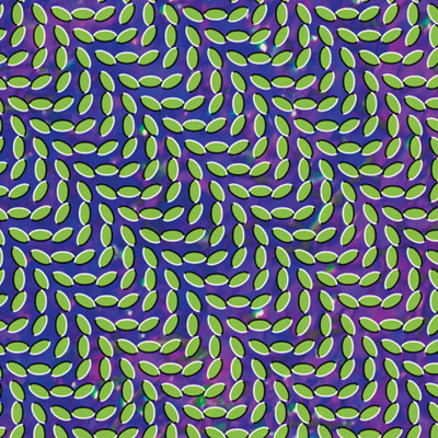 Animal Collective - Merriweather Post Pavilion LP