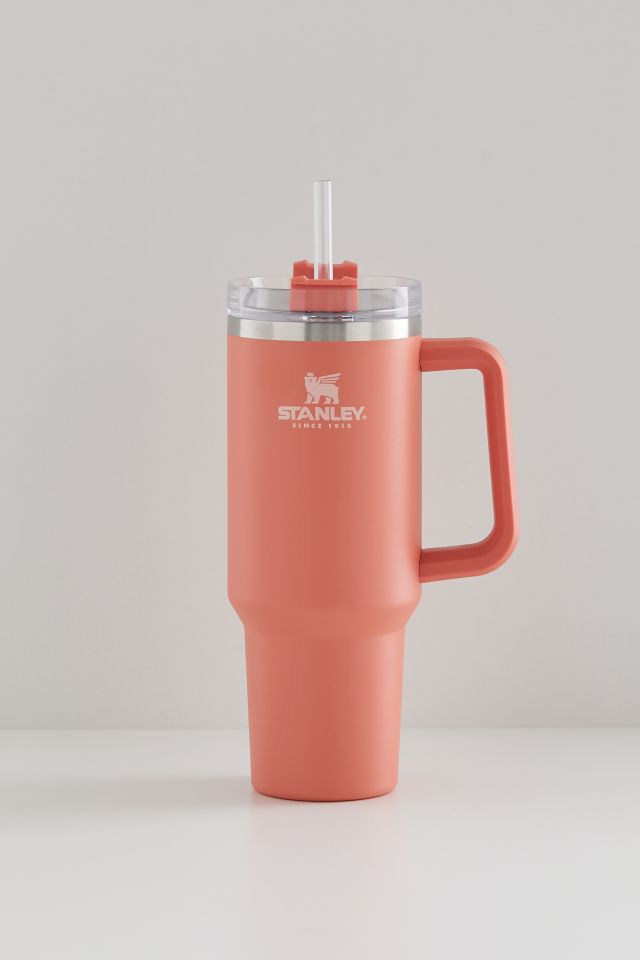 Stanley Quencher 40 oz Travel Tumbler | Urban Outfitters