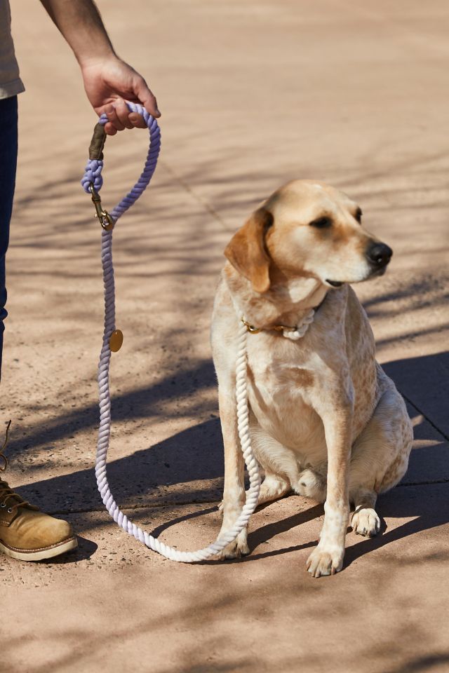 Found My Animal Rope Dog Leash Urban Outfitters