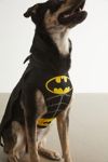 DC Comics Batman Dog Halloween Costume
