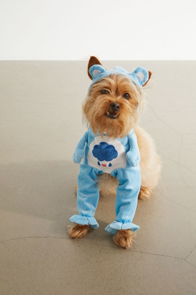 Dog bear costume sale