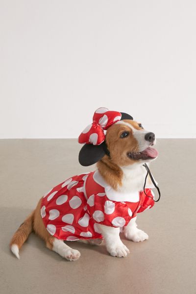 minnie-mouse-dog-halloween-costume-urban-outfitters