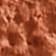 Terra Cotta