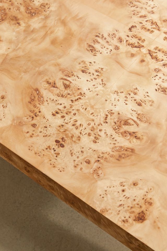 Cora Burl Wood Veneer Coffee Table #4