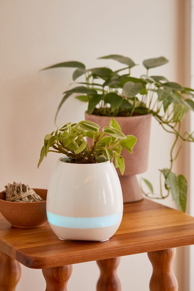 Bluetooth speaker best sale plant pot